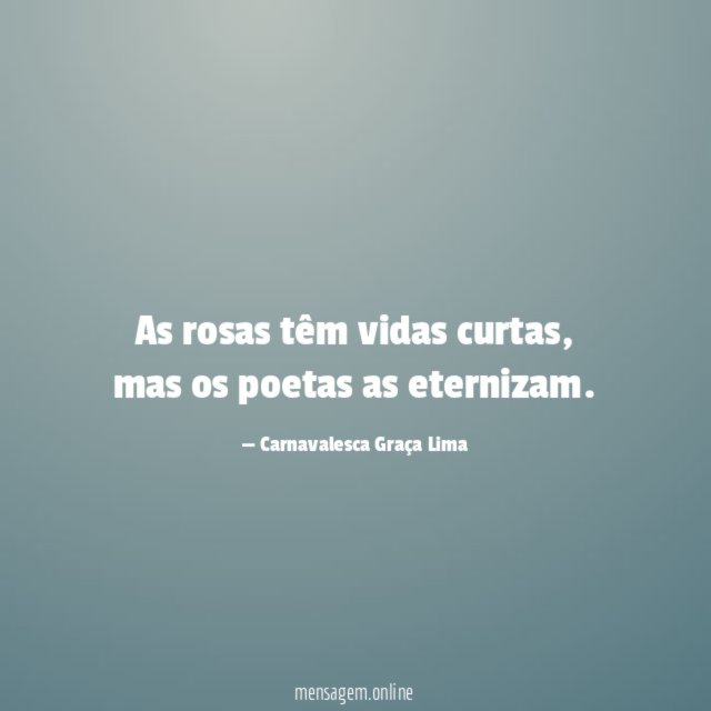 As rosas têm vidas curtas