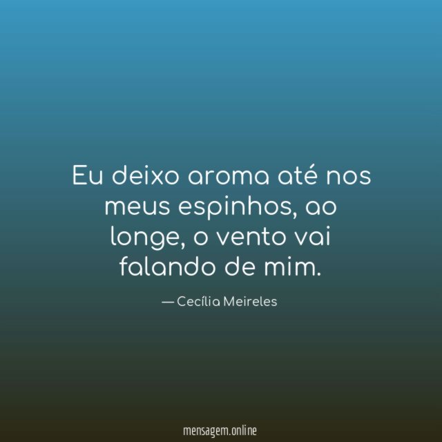 Eu deixo aroma até nos meus espinhos