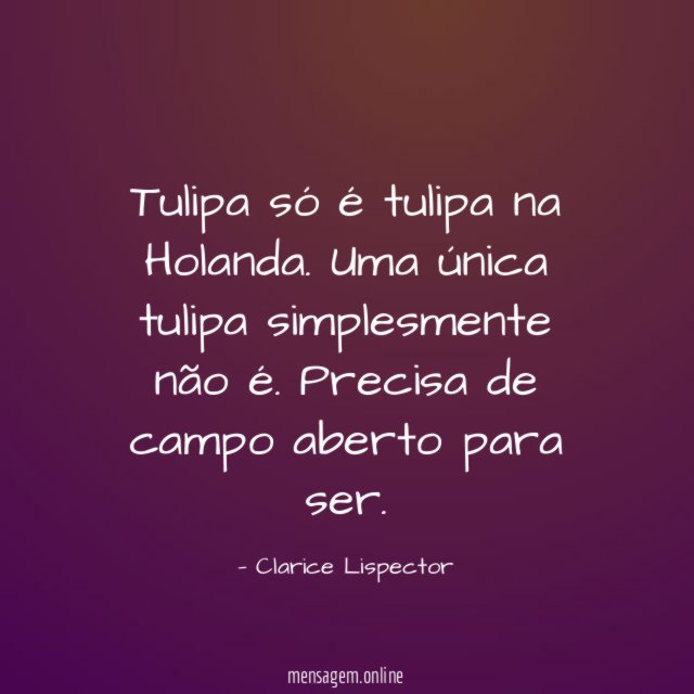 Tulipa só é tulipa na Holanda