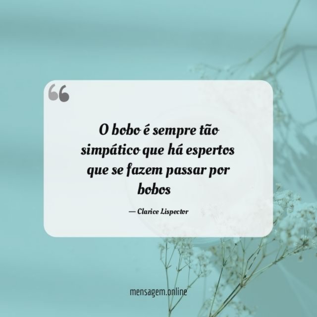 O bobo é sempre tão simpático que há