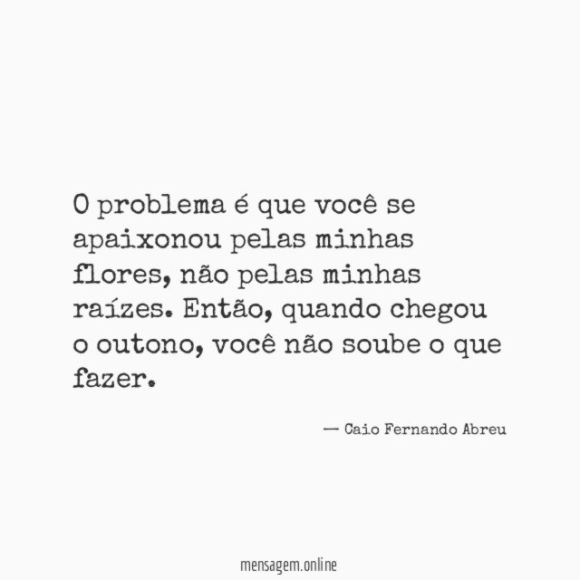 O problema é que você se apaixonou pelas minhas flores