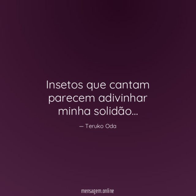 Insetos que cantam parecem adivinhar minha solidão