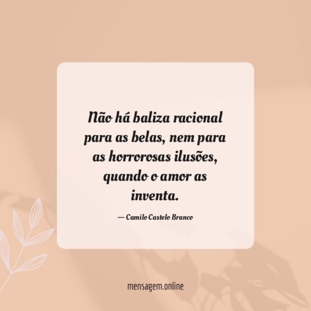 Não há baliza racional para as belas