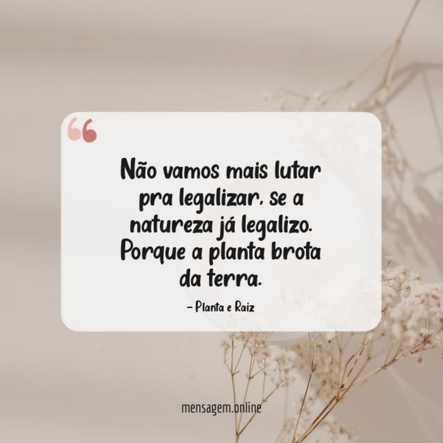 Não vamos mais lutar pra legalizar