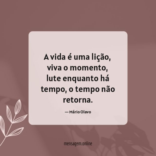 A vida é uma lição
