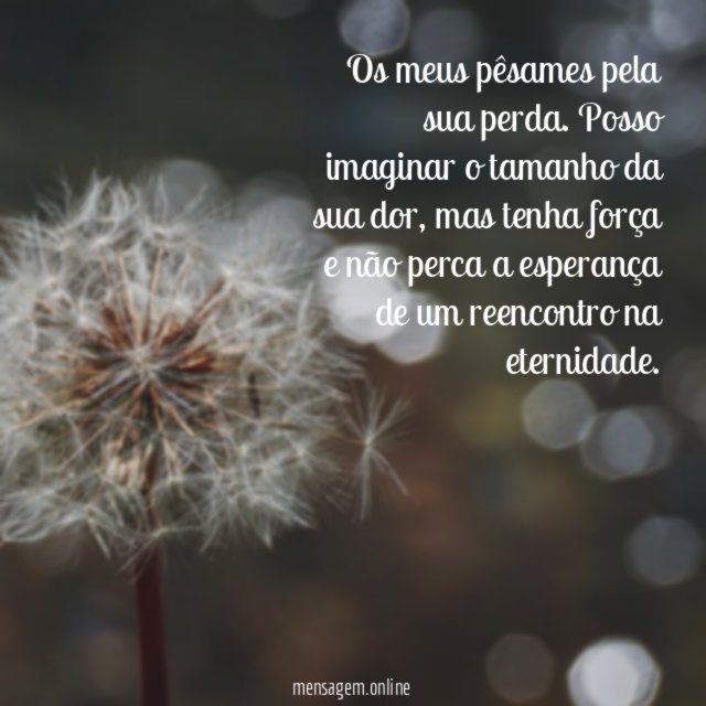 Os meus pêsames pela sua perda