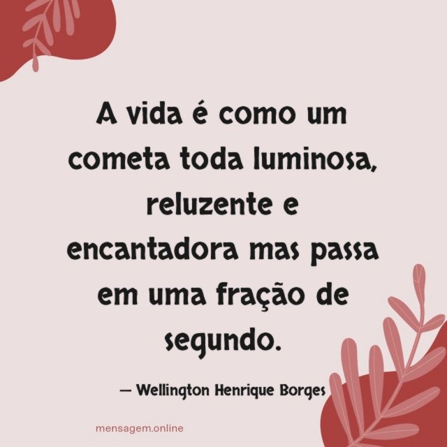 A vida é como um cometa toda luminosa