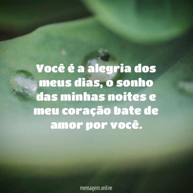 Você é a alegria dos meus dias