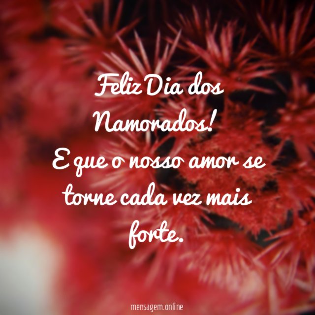 Feliz Dia dos Namorados