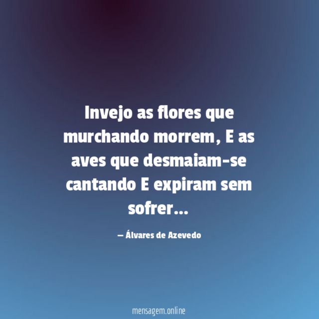 Invejo as flores que murchando morrem
