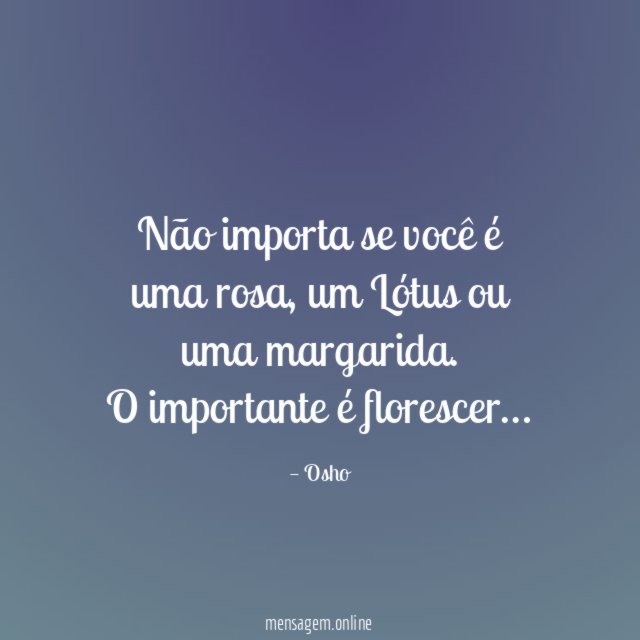 Não importa se você é uma rosa