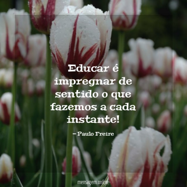 Educar é impregnar de sentido o que fazemos a cada instante