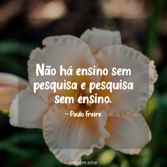Não há ensino sem pesquisa e pesquisa sem ensino