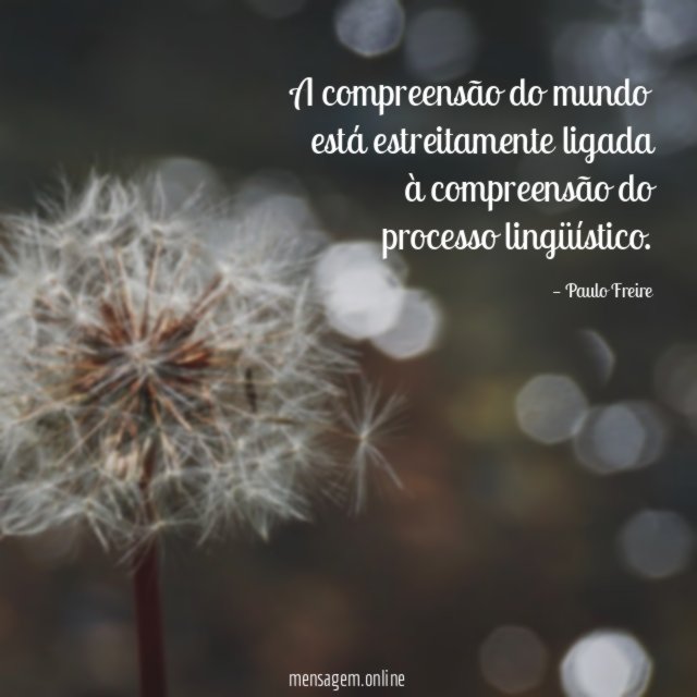 A compreensão do mundo está estreitamente ligada à