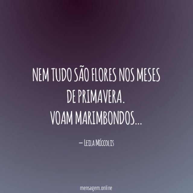 Nem tudo são flores nos meses de primavera