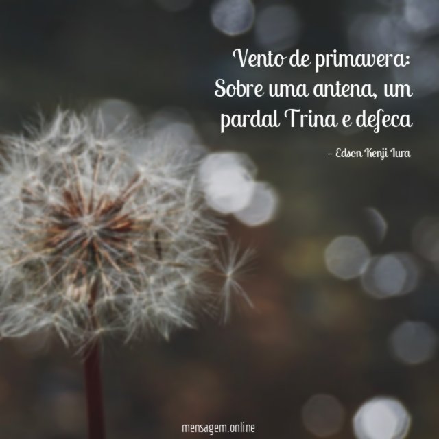 Vento de primavera