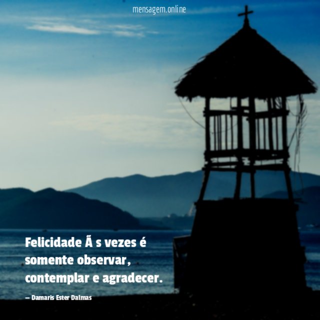 Felicidade às vezes é somente observar