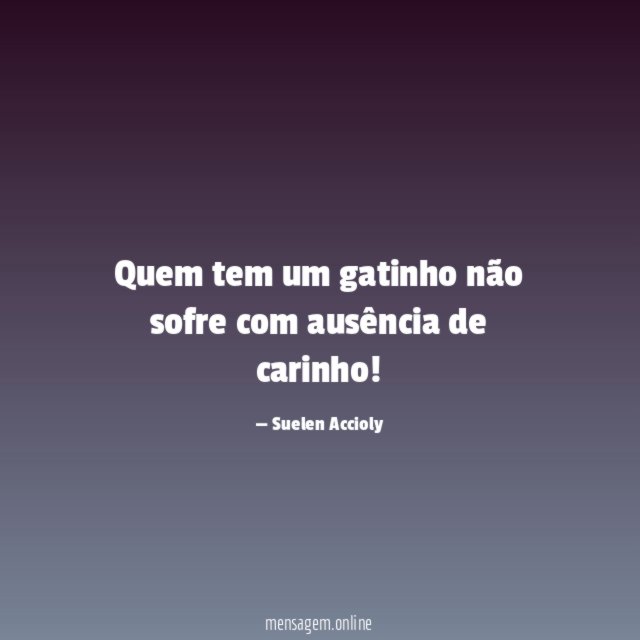 Quem tem um gatinho não sofre com ausência de carinho