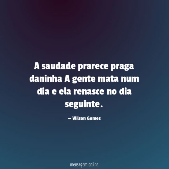 A saudade prarece praga daninha A gente mata num