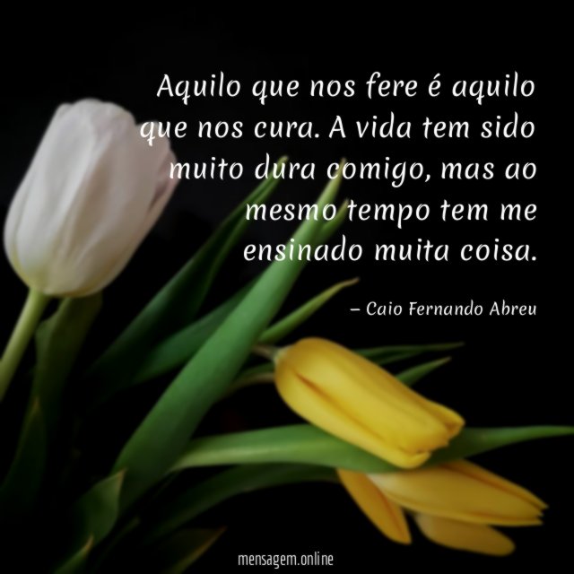 Aquilo que nos fere é aquilo que nos cura