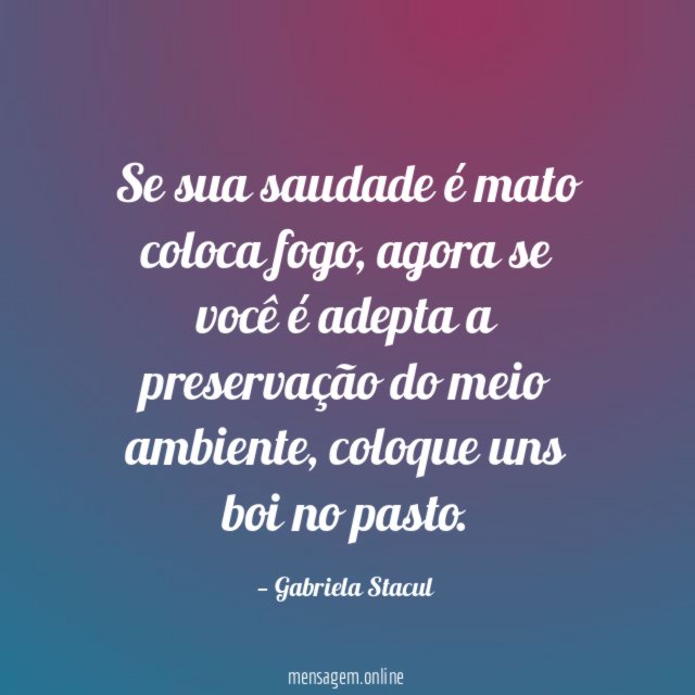 Se sua saudade é mato coloca fogo