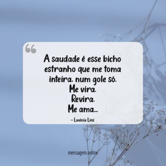 A saudade é esse bicho estranho que me toma inteira