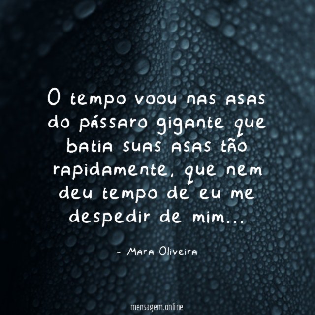 O tempo voou nas asas do pássaro gigante