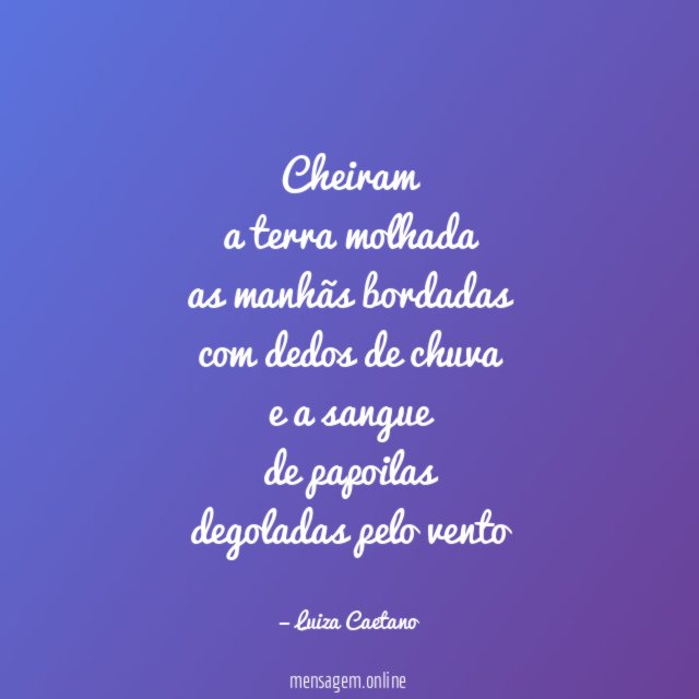 Cheiram
a terra molhada
as manhãs bordadas
com dedos de chuva