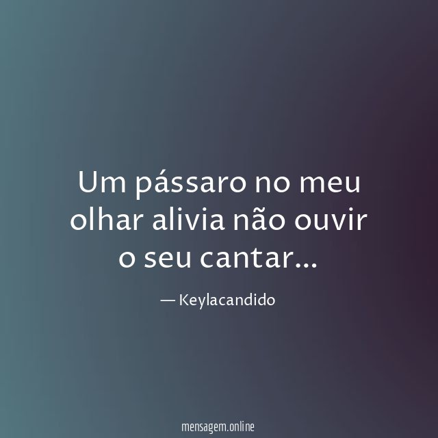 Um pássaro no meu olhar alivia não ouvir