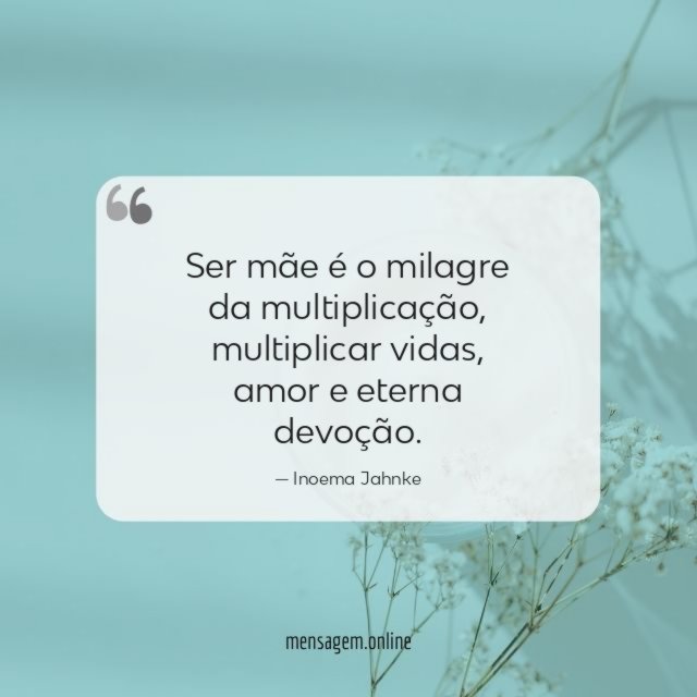 Ser mãe é o milagre da multiplicação