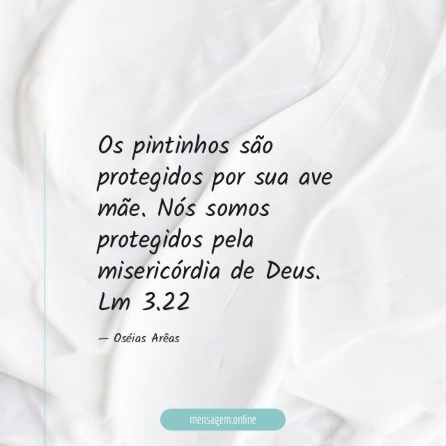 Os pintinhos são protegidos por sua ave mãe