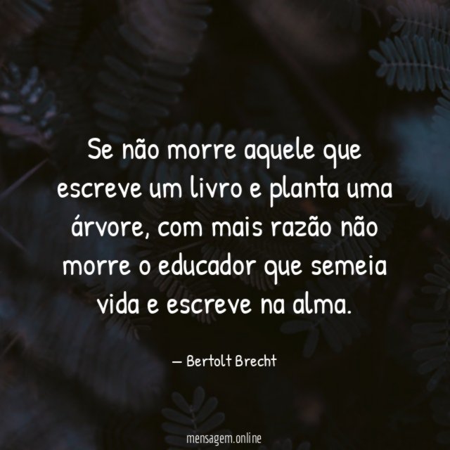 Se não morre aquele que escreve um livro