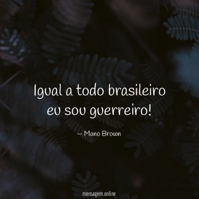 Igual a todo brasileiro eu sou guerreiro