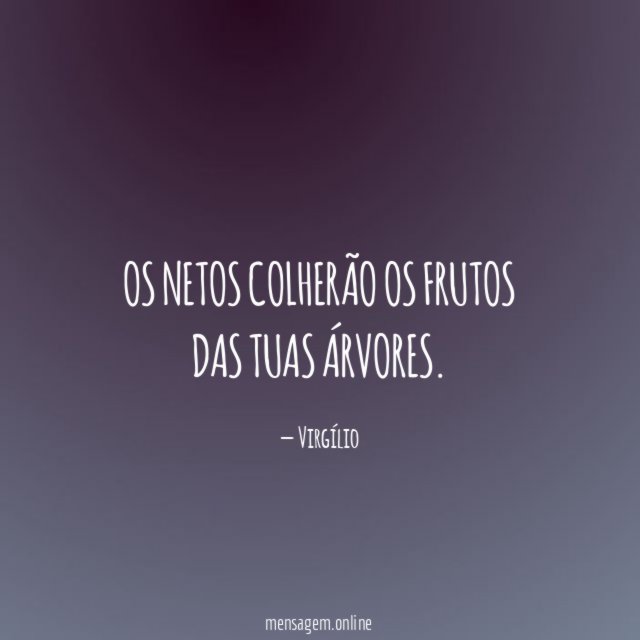 Os netos colherão os frutos das tuas árvores