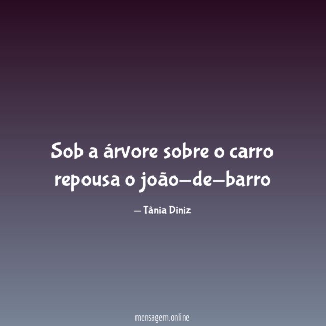 Sob a árvore sobre o carro repousa o joão-de-barro