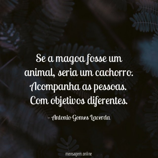 Se a magoa fosse um animal