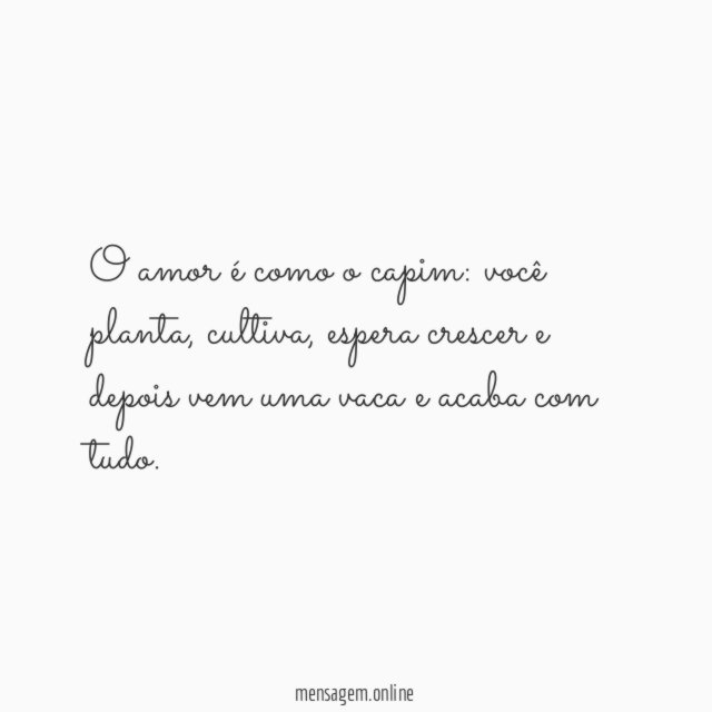O amor é como o capim