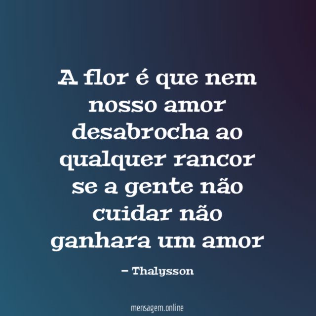 A flor é que nem nosso amor desabrocha ao qualquer