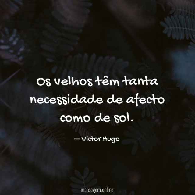 Os velhos têm tanta necessidade de afecto como de sol