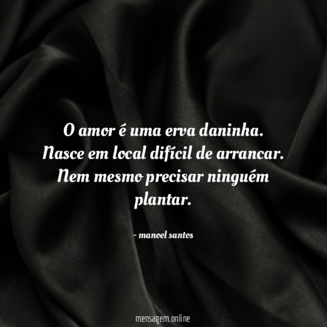 O amor é uma erva daninha