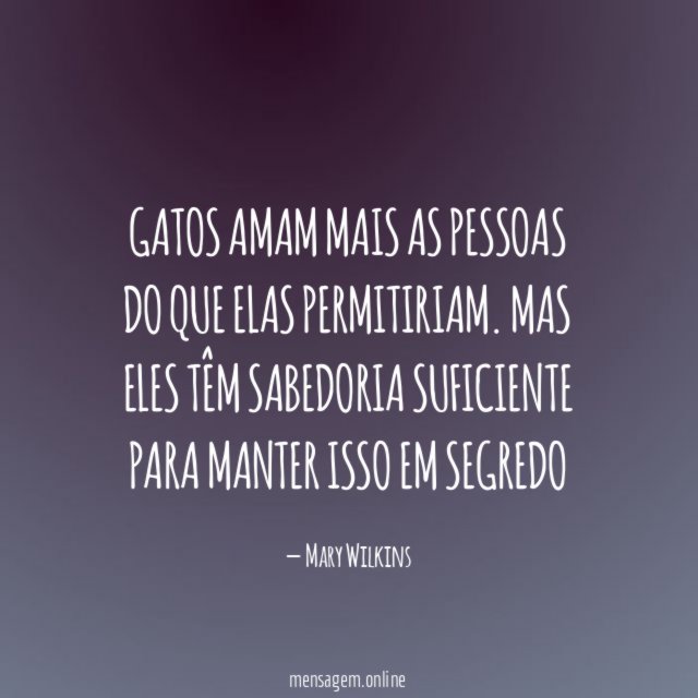 Gatos amam mais as pessoas do que elas permitiriam