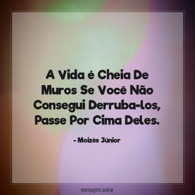 A Vida é Cheia De Muros Se Você Não Consegui Derruba-los