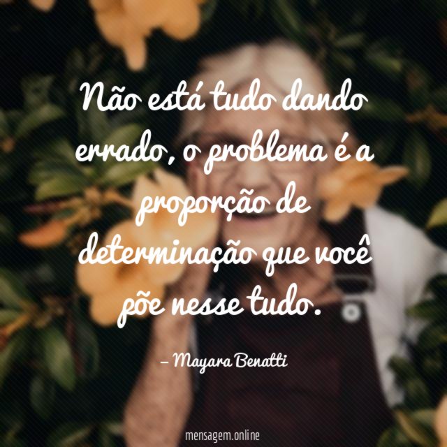 Não está tudo dando errado