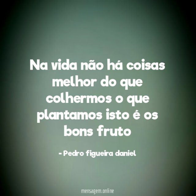 Na vida não há coisas melhor do que