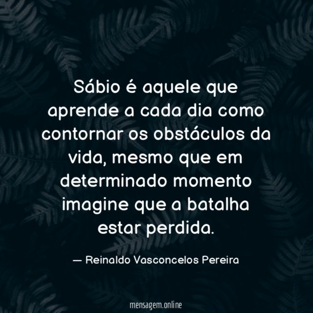 Sábio é aquele que aprende a cada dia