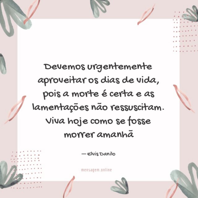 Devemos urgentemente aproveitar os dias de vida