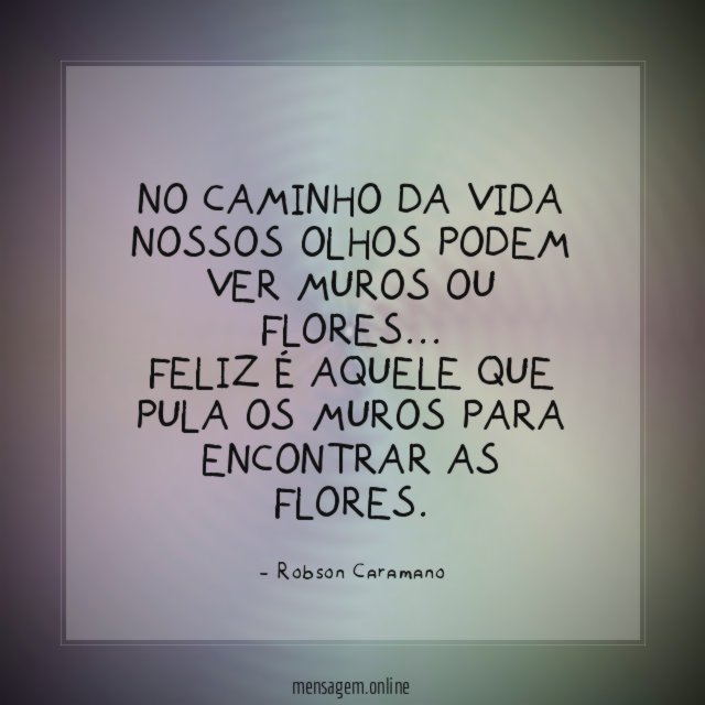 No caminho da vida nossos olhos podem ver muros ou flores