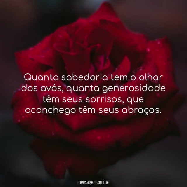 Quanta sabedoria tem o olhar dos avós