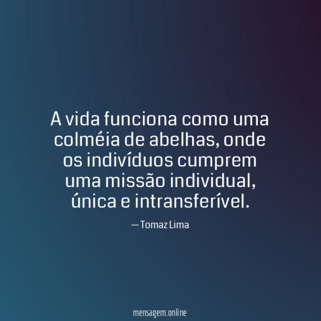 A vida funciona como uma colméia de abelhas
