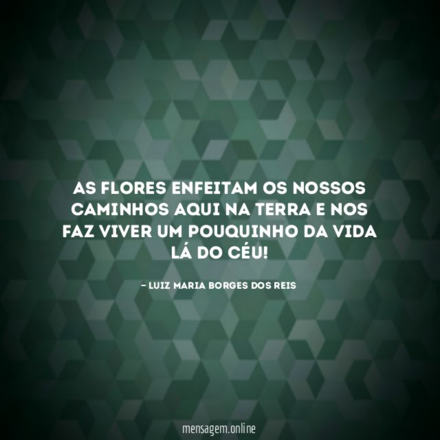 As flores enfeitam os nossos caminhos aqui na